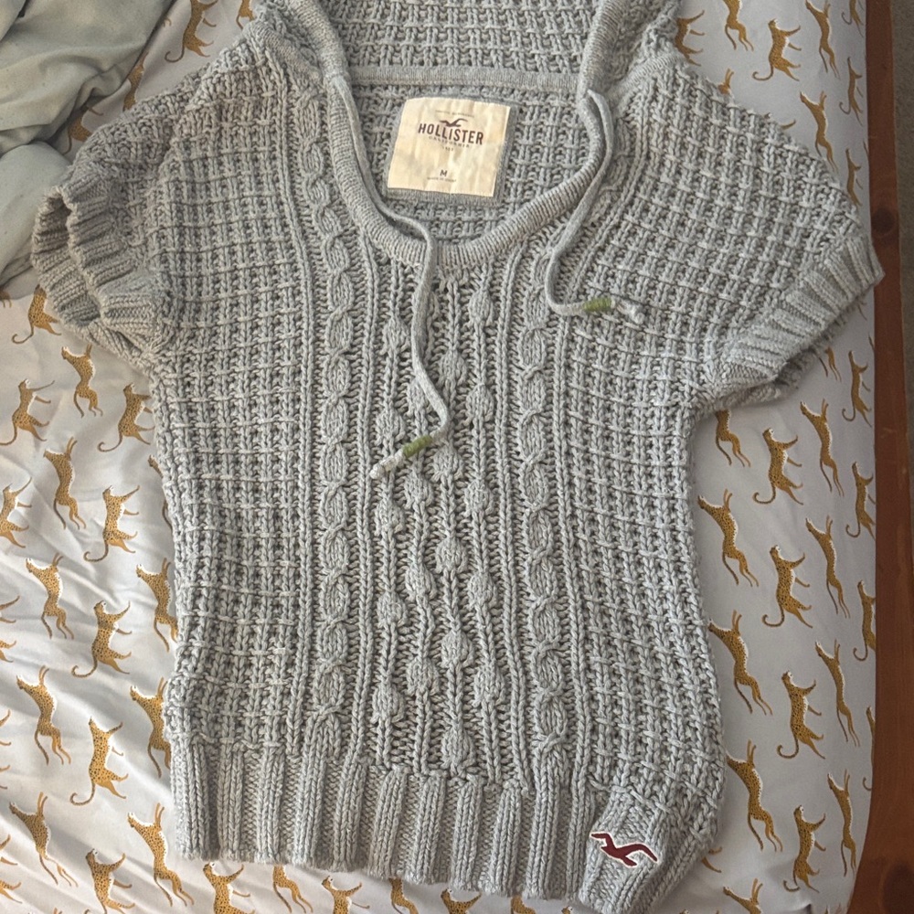 Short Sleeve Vintage Hollister Sweater Hoodie